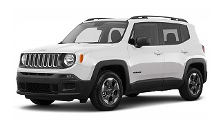 RENEGADE 2014-