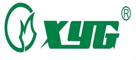 XINYI GLASS HOLDINGS LTD.